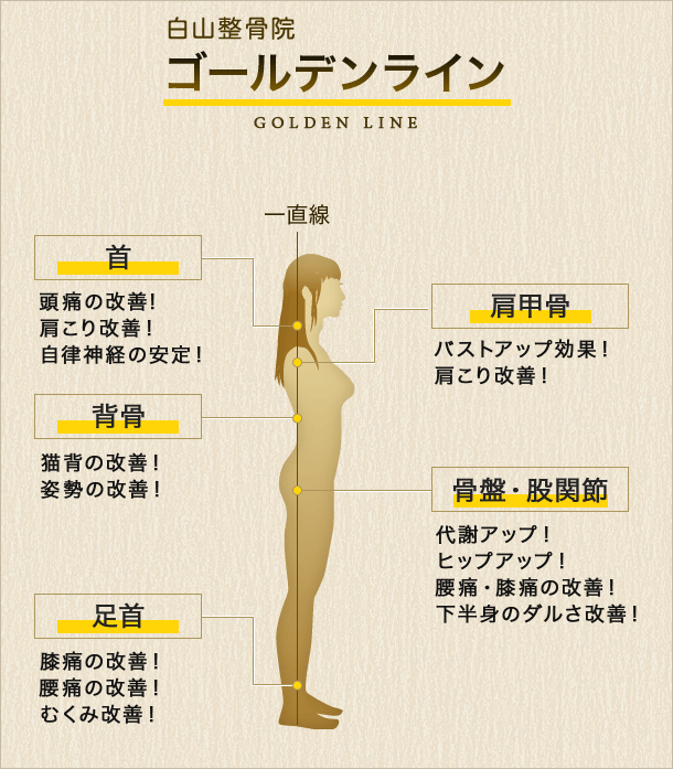 ゴールデンライン